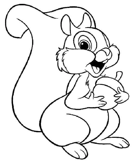 Coloring page of a happy squirrel holding an acorn Coloring page of a happy squirrel holding an acorn